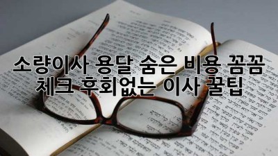 소량이사 용달🚚 숨은 비용 꼼꼼 체크!💰 후회없는 이사 꿀팁🍯