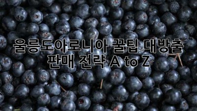 울릉도아로니아 꿀팁 대방출! 💜 판매 전략 A to Z